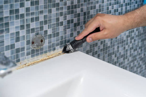 Best Health and Safety Mold Remediation in Sunnyside, GA