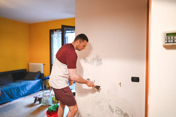 Best Black Mold Remediation in Sunnyside, GA